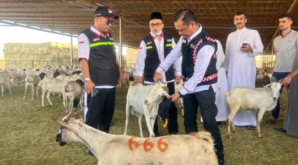 Catat, Jemaah Dilarang Lakukan Penyembelihan Dam/Hadyu di RPH Kota Makkah