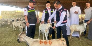 Catat, Jemaah Dilarang Lakukan Penyembelihan Dam/Hadyu di RPH Kota Makkah