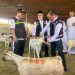 Catat, Jemaah Dilarang Lakukan Penyembelihan Dam/Hadyu di RPH Kota Makkah